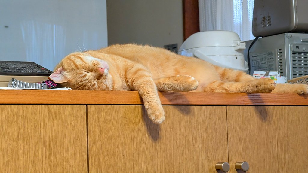 キッチンカウンターで電話を枕にzzzz········