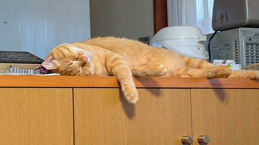キッチンカウンターで電話を枕にzzzz········