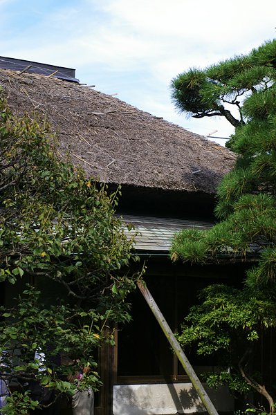 茅葺屋根