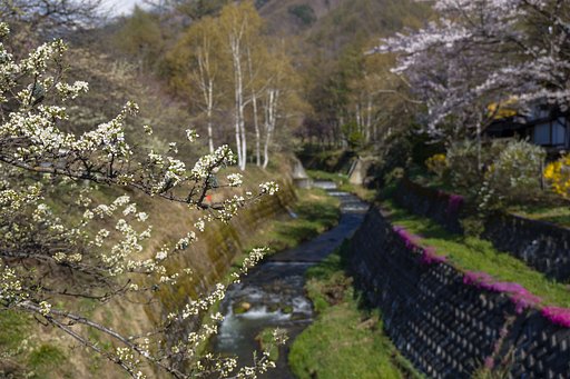 5月2日の写真