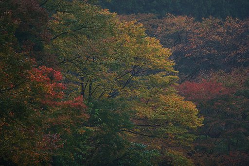 御岳2(marchi)