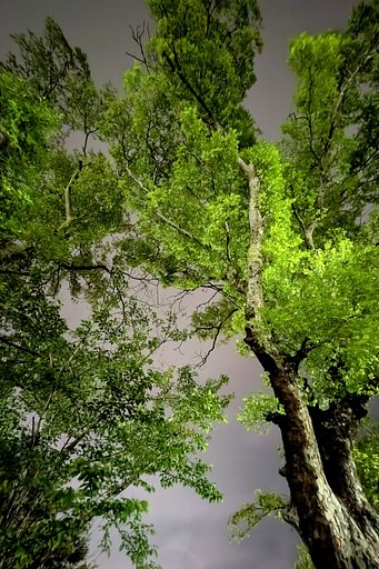 5月21日の写真