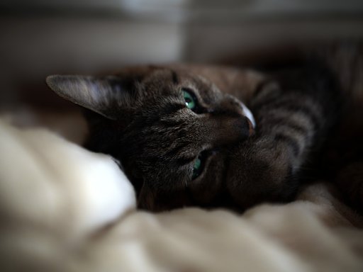 5月22日の写真