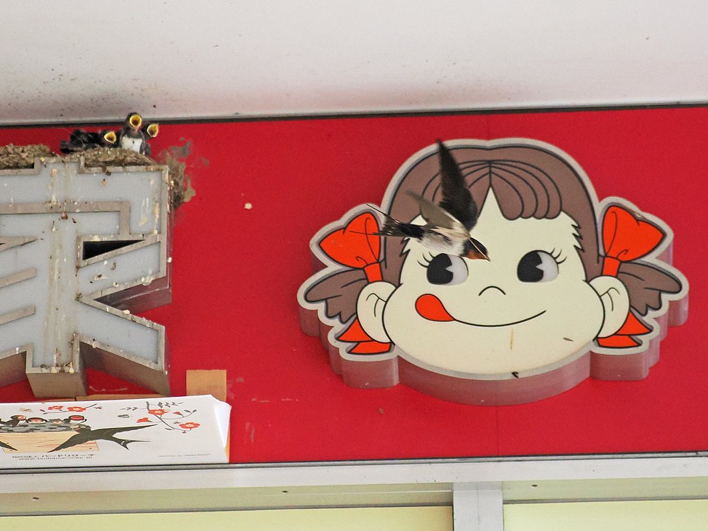 「不二屋」じゃ無くて良かったね