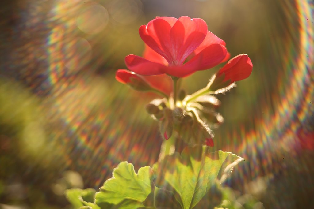 AI感想お願い　その８