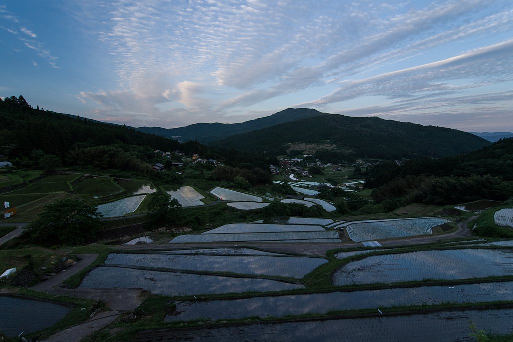 緑の季節_坂折棚田