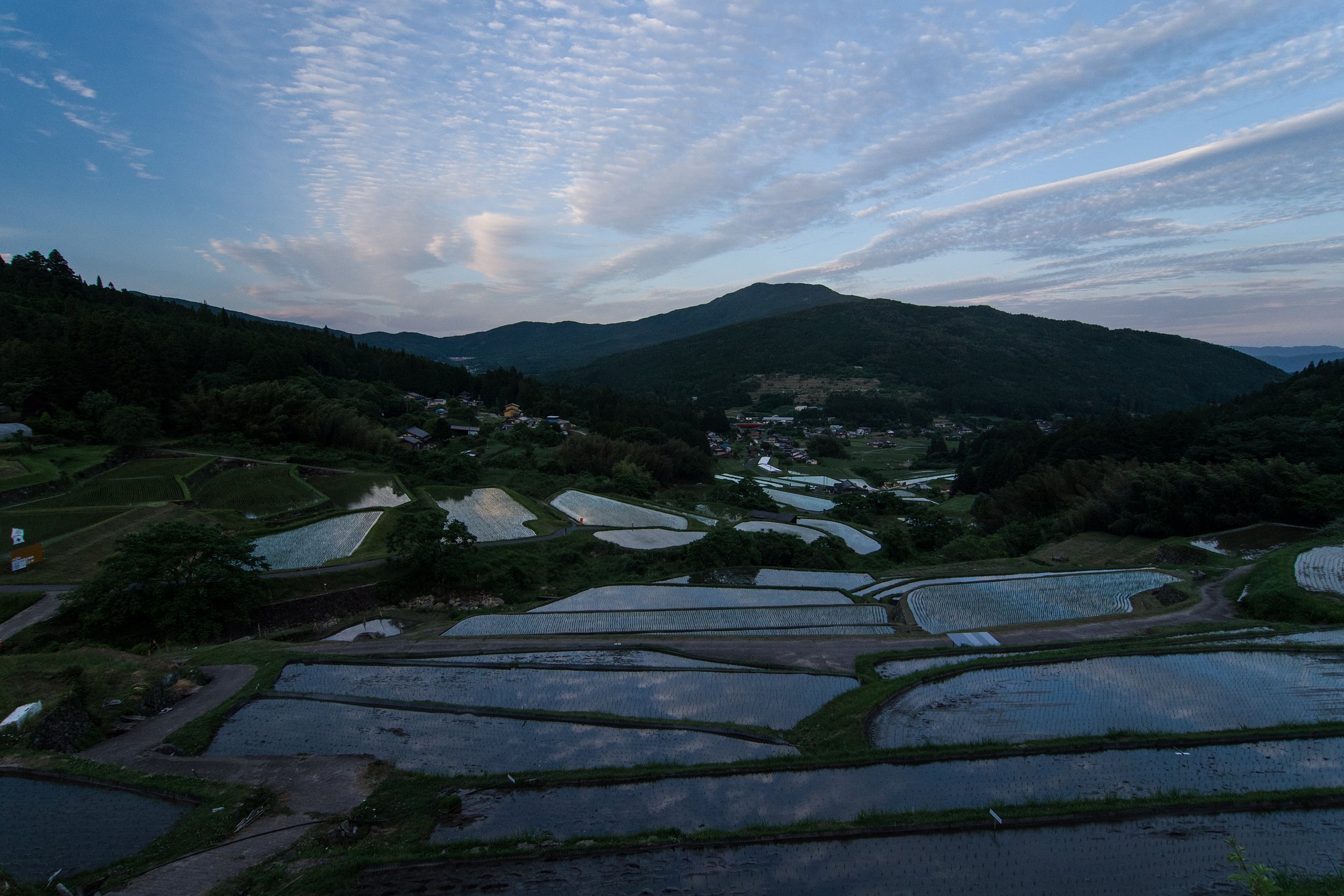 緑の季節_坂折棚田