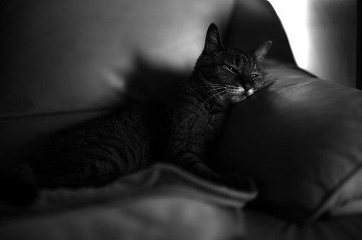 5月29日の写真