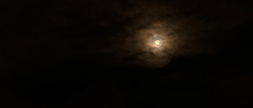 6月3日の写真