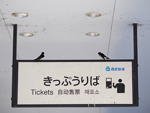 恋のキップ、ありますか？