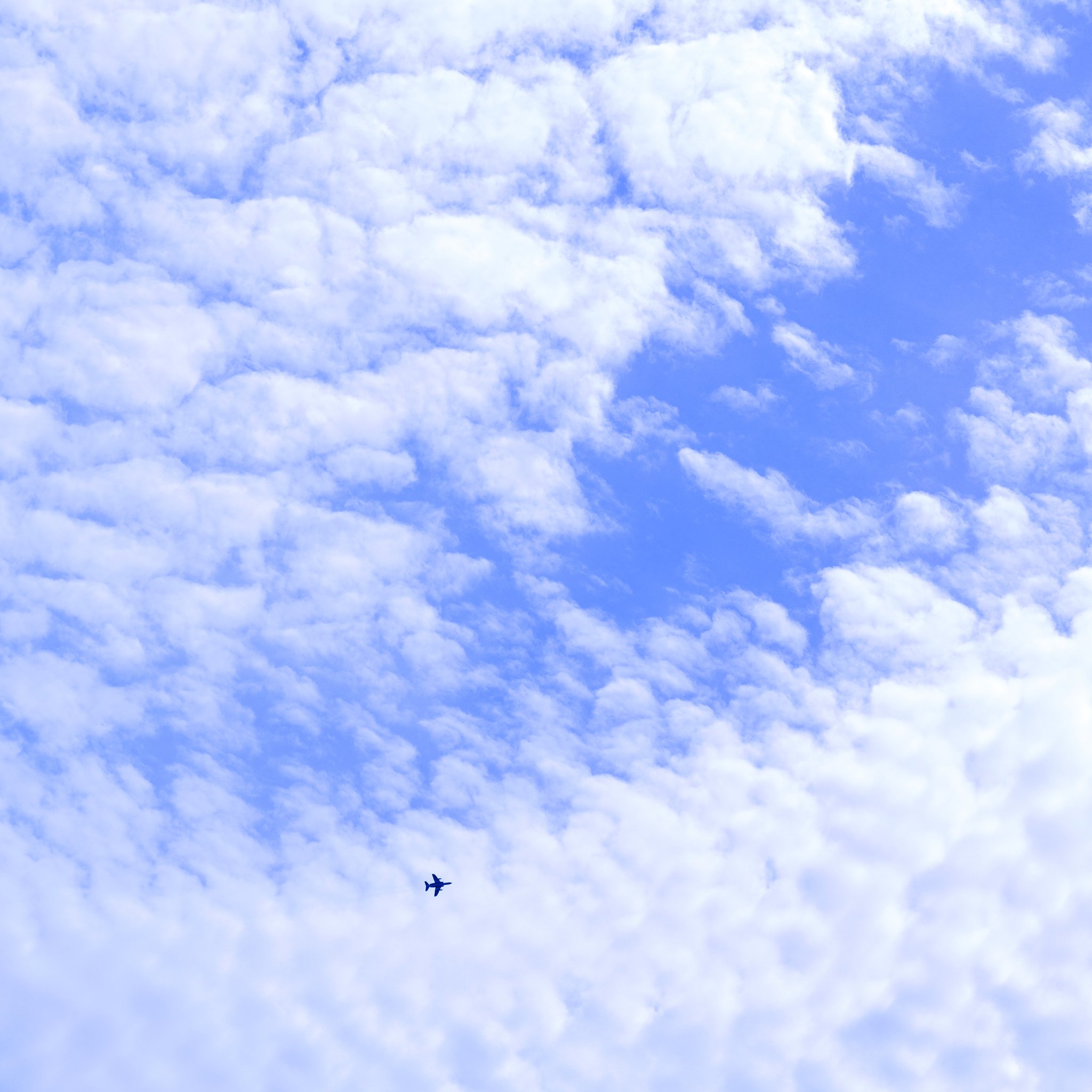 見上げた空