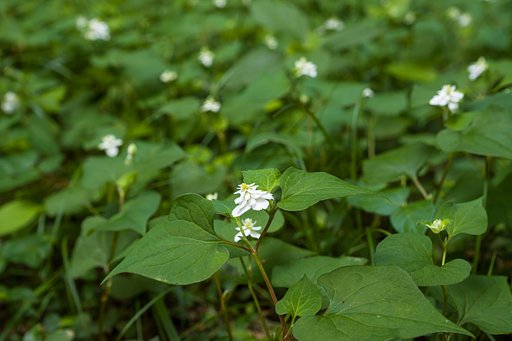 5月23日の写真
