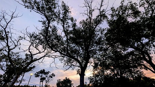 6月4日の写真