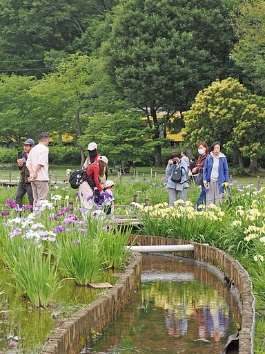 小さな足どり