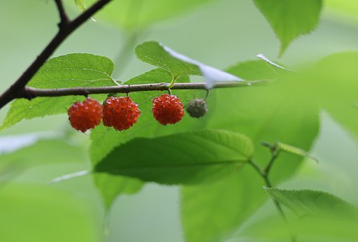 なぜこんなところに？