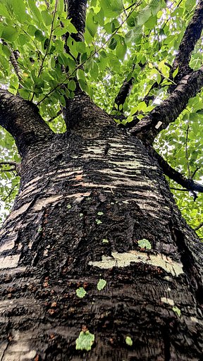 6月9日の写真