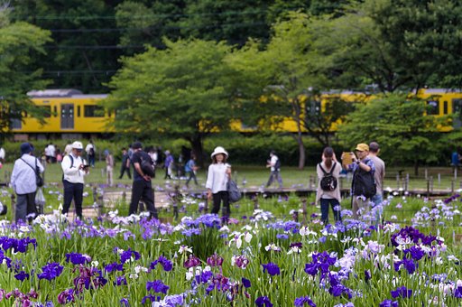 夢の中にイエローライン