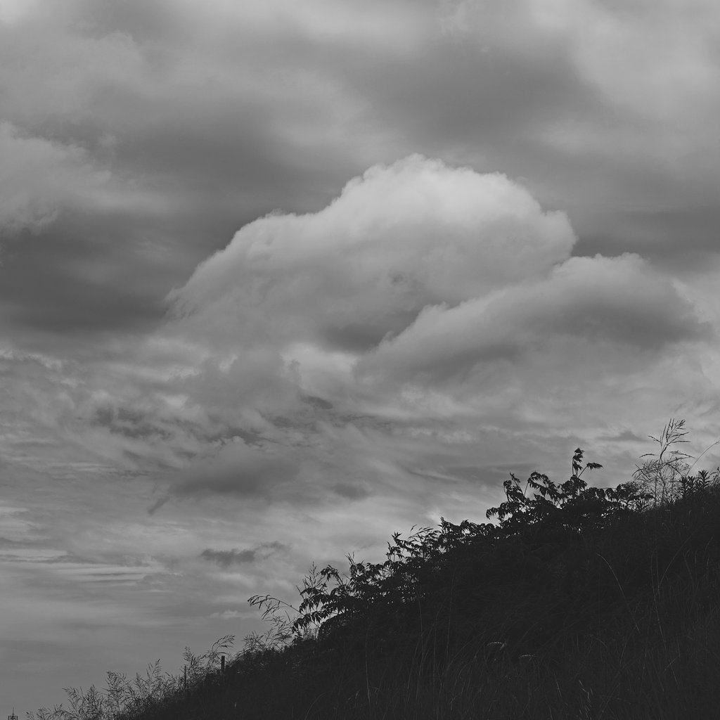 Hardmonochrome