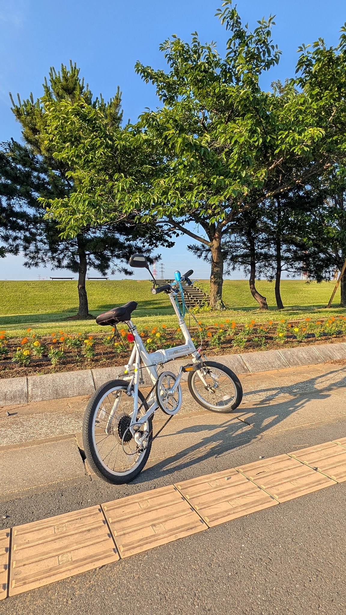 相棒
