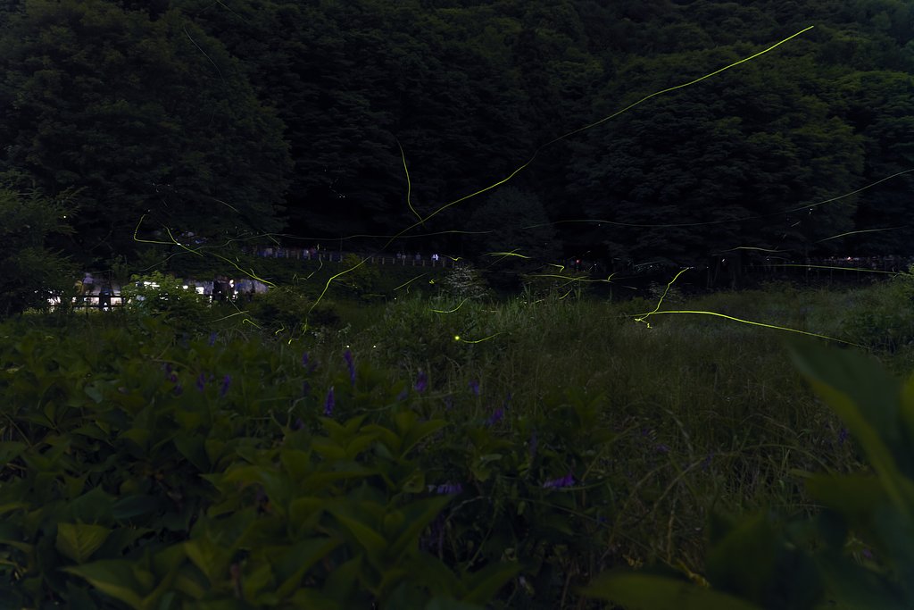 広がる軌跡