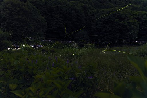 広がる軌跡