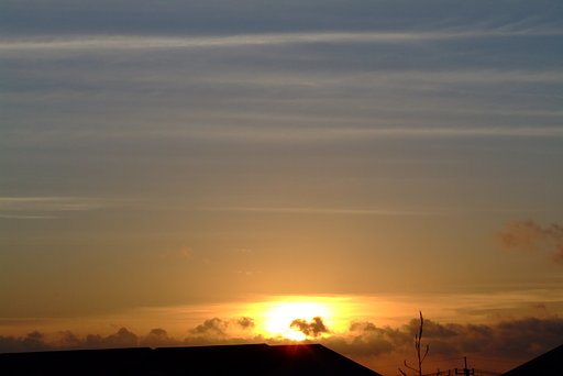 サバンナの夕日？