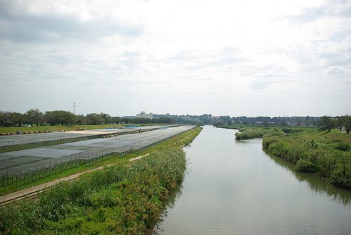 ５９６３です・・・