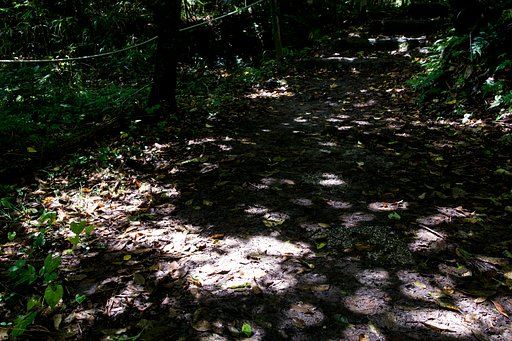 異界への入口_木漏れ日に誘われて。。。