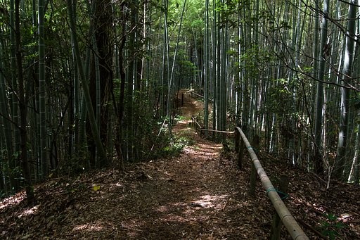 横構図にて