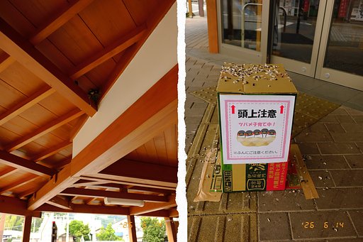 駅ナカツバメ