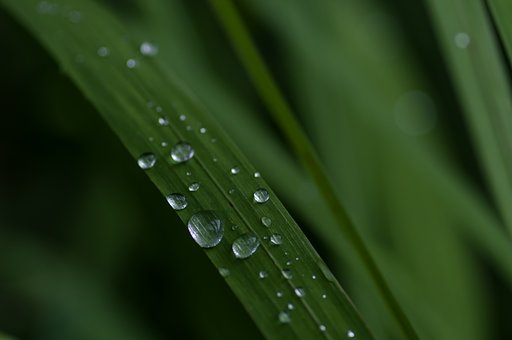 雨の忘れ物