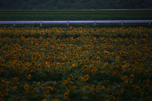 8月30日の写真