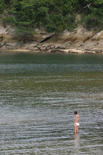 晩夏