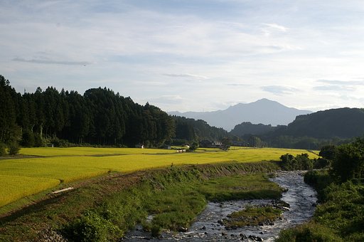 田園風景