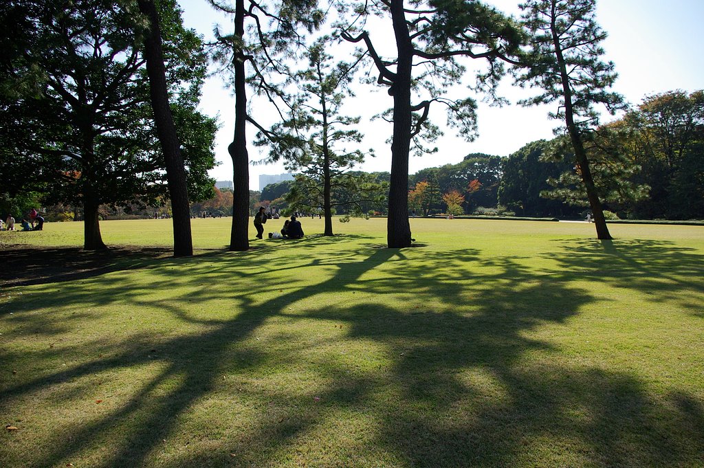 皇居東御苑の秋