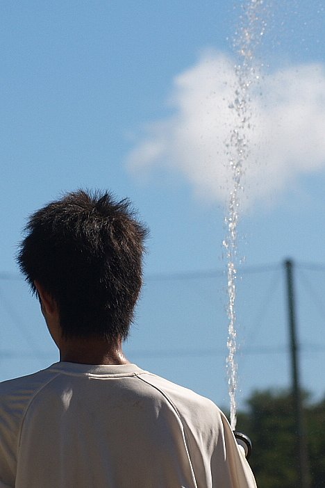 水玉