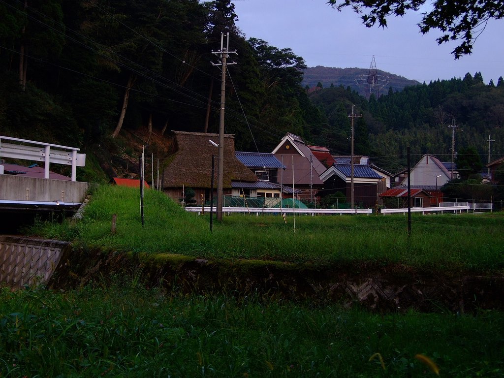 今度は夕方で再挑戦