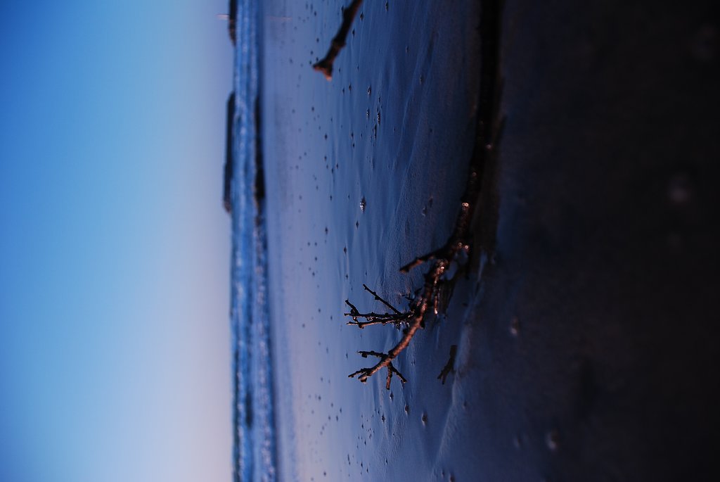 暖かい秋の夕暮れ