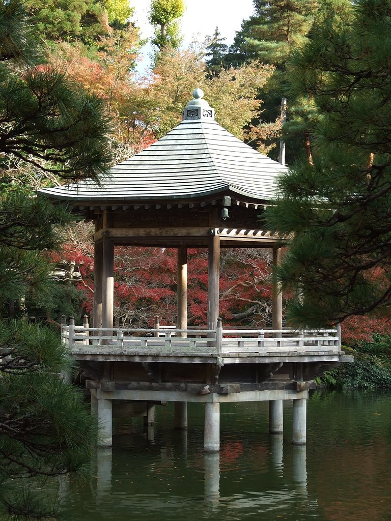成田山の紅葉