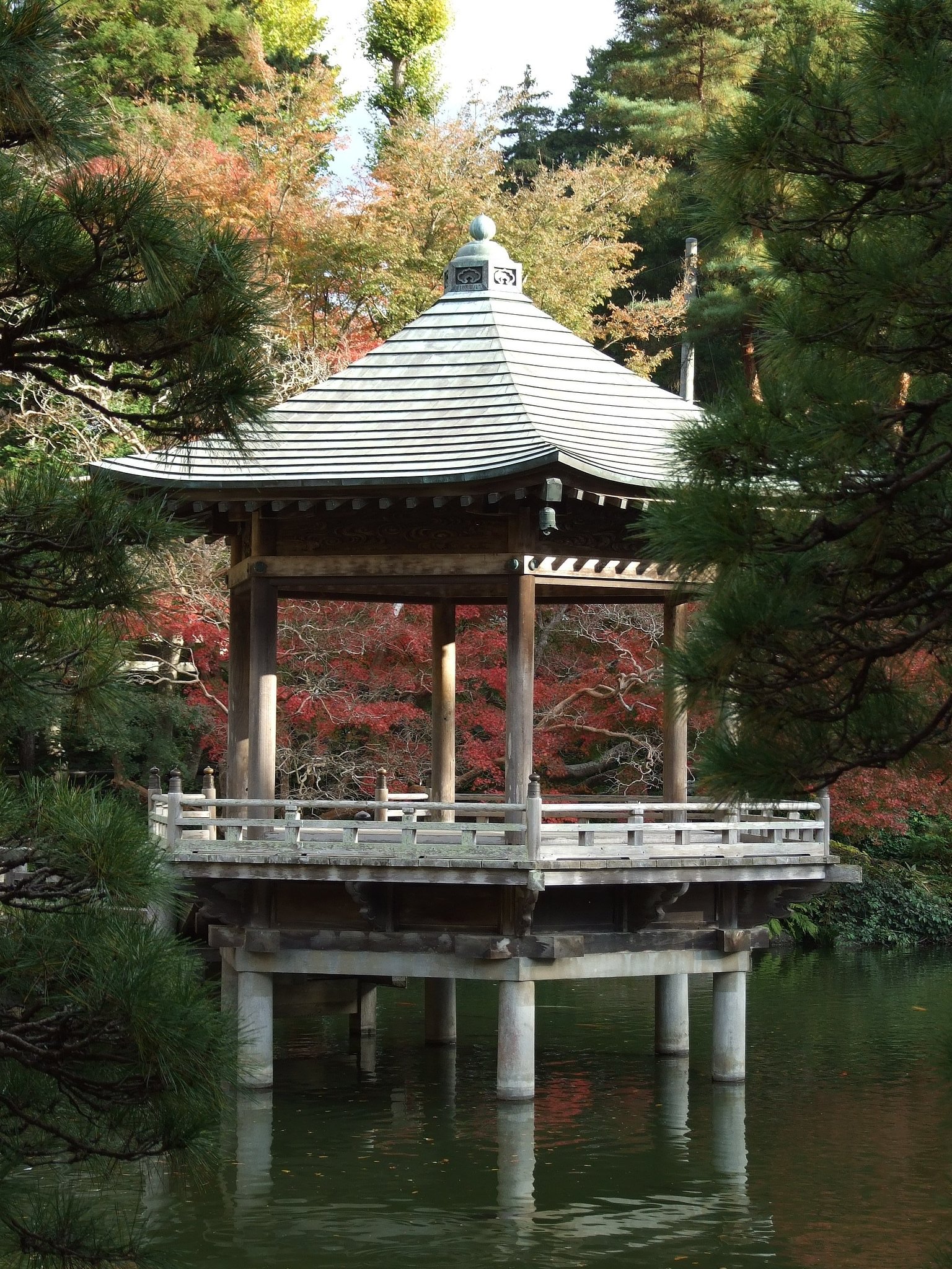 成田山の紅葉