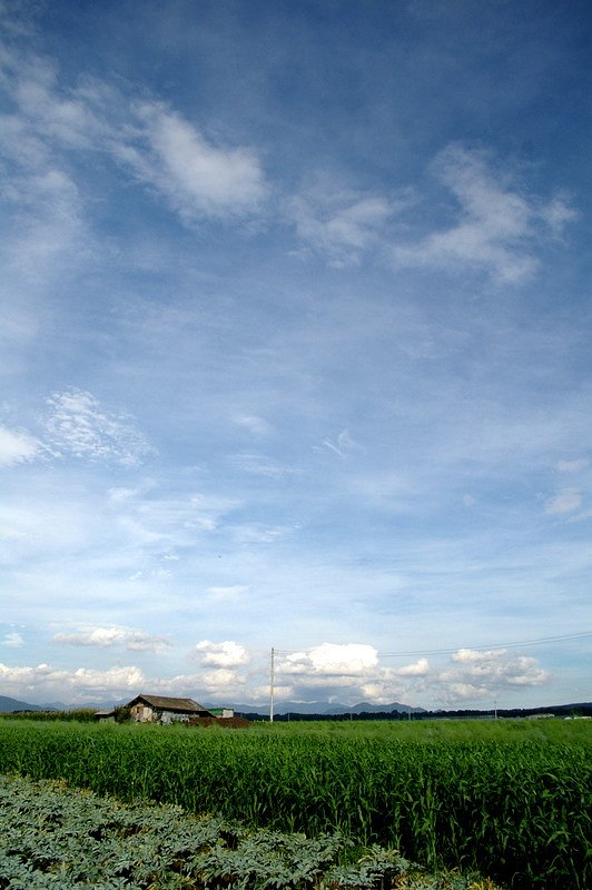 日帰りで北海道…ウソでした…