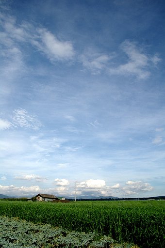 日帰りで北海道…ウソでした…