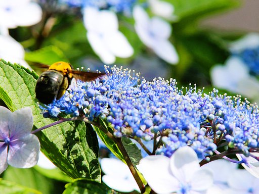 Tamron28-300F3.5-6,3macro+