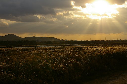 紀ノ川