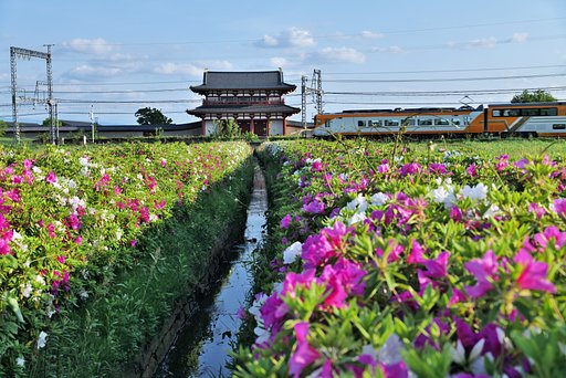 平城宮跡を横切る