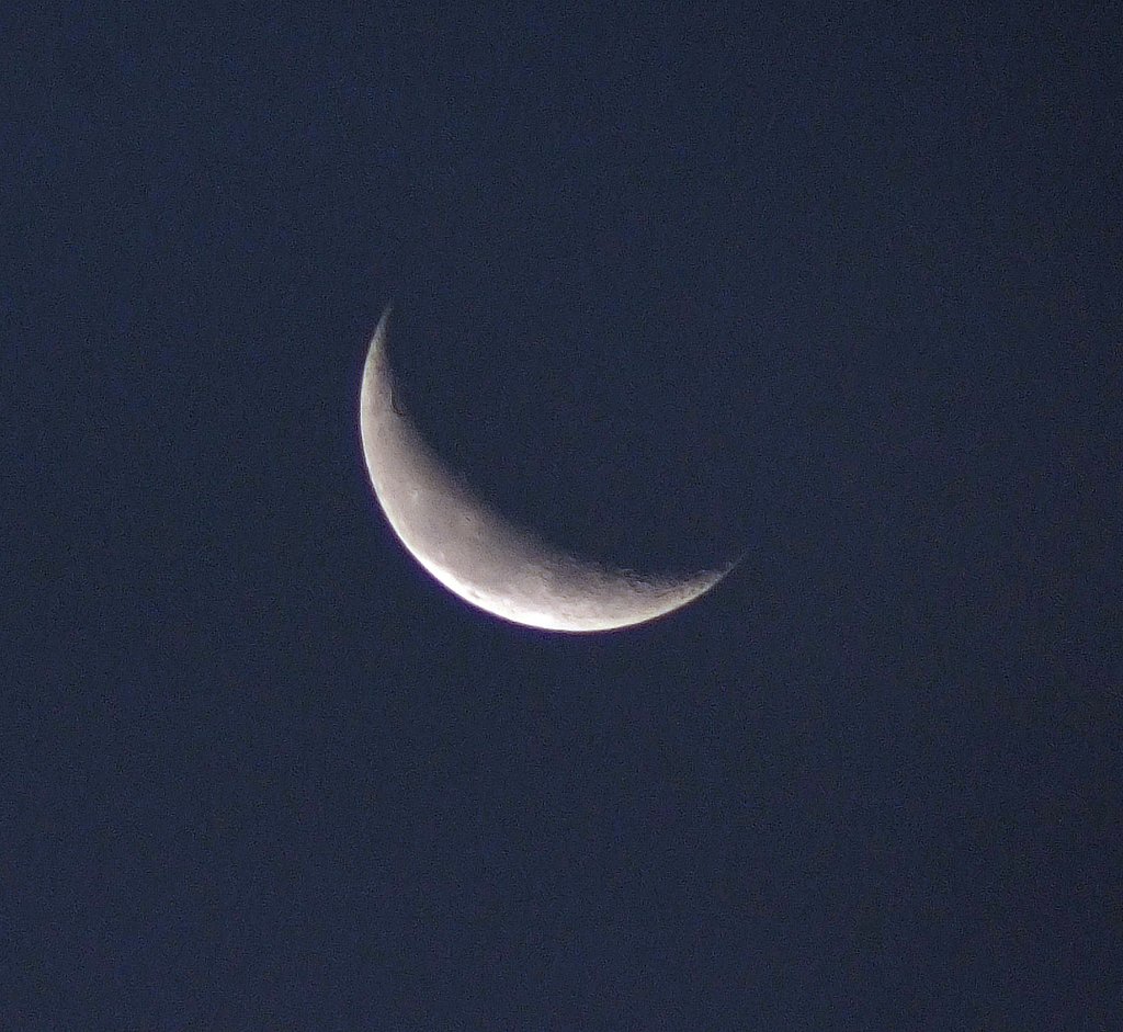 今朝の三日月