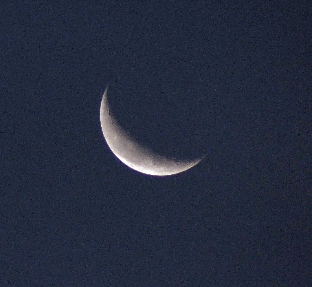 今朝の三日月
