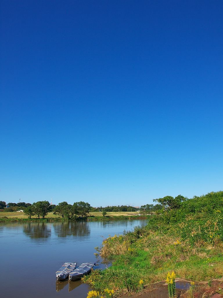 秋の青空