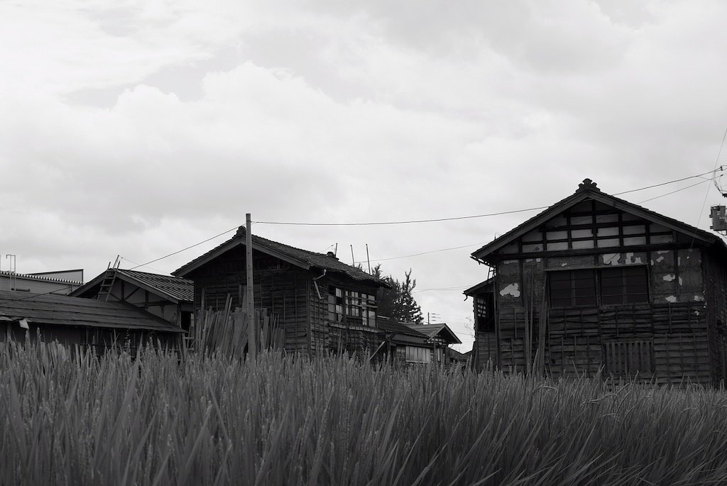 記憶の夏