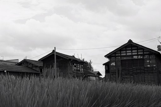 記憶の夏